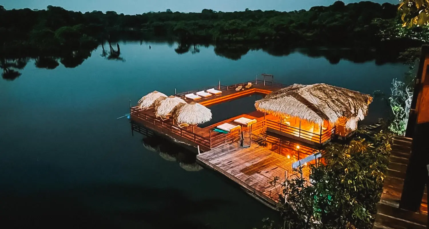 Floresta amazônica com névoa matinal, projeto Essência
